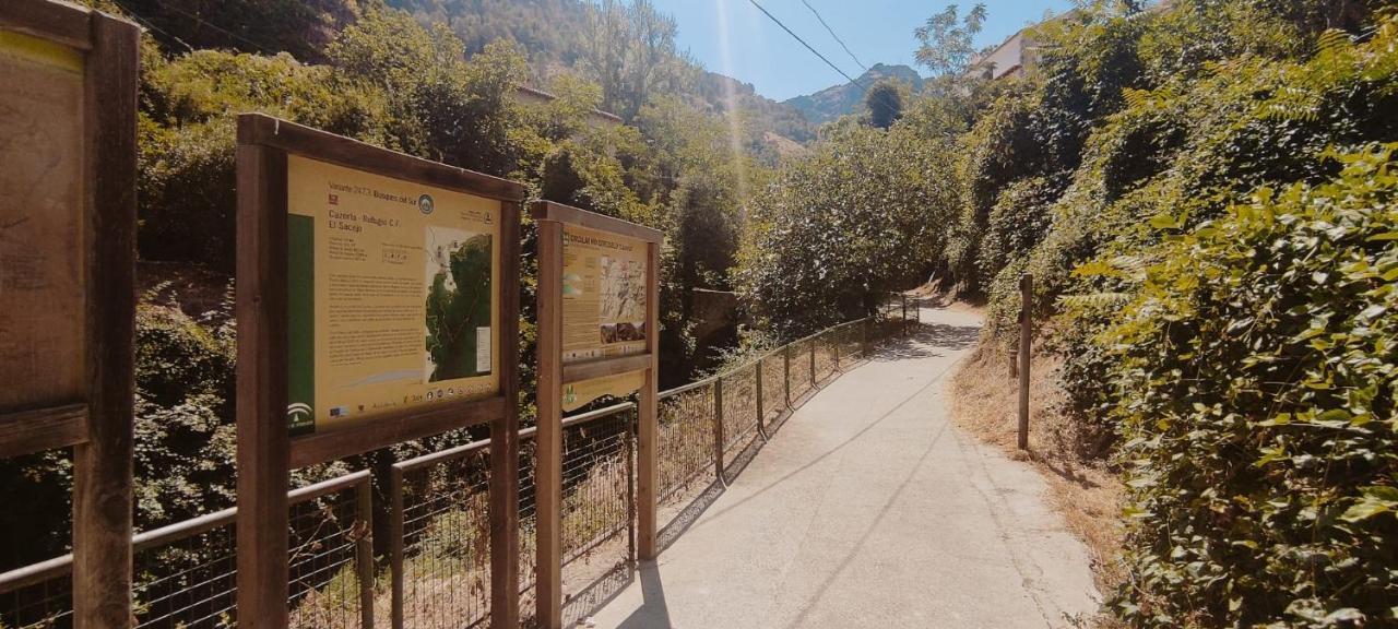 Alojamientos Puerta Del Parque Казорла Екстериор снимка